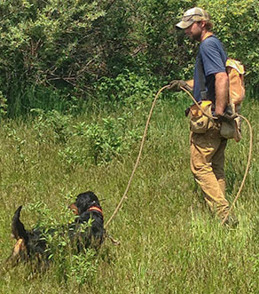 Justin with Gordon Setter